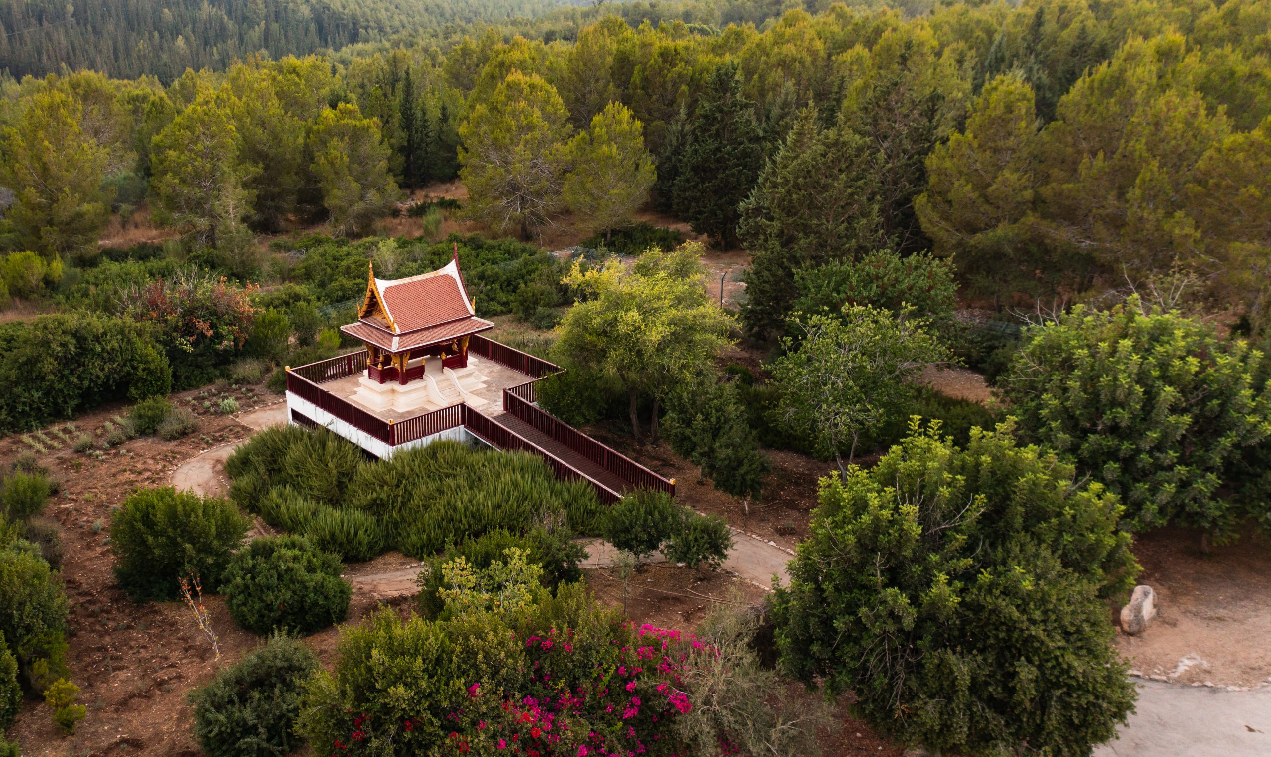 DJI_0833