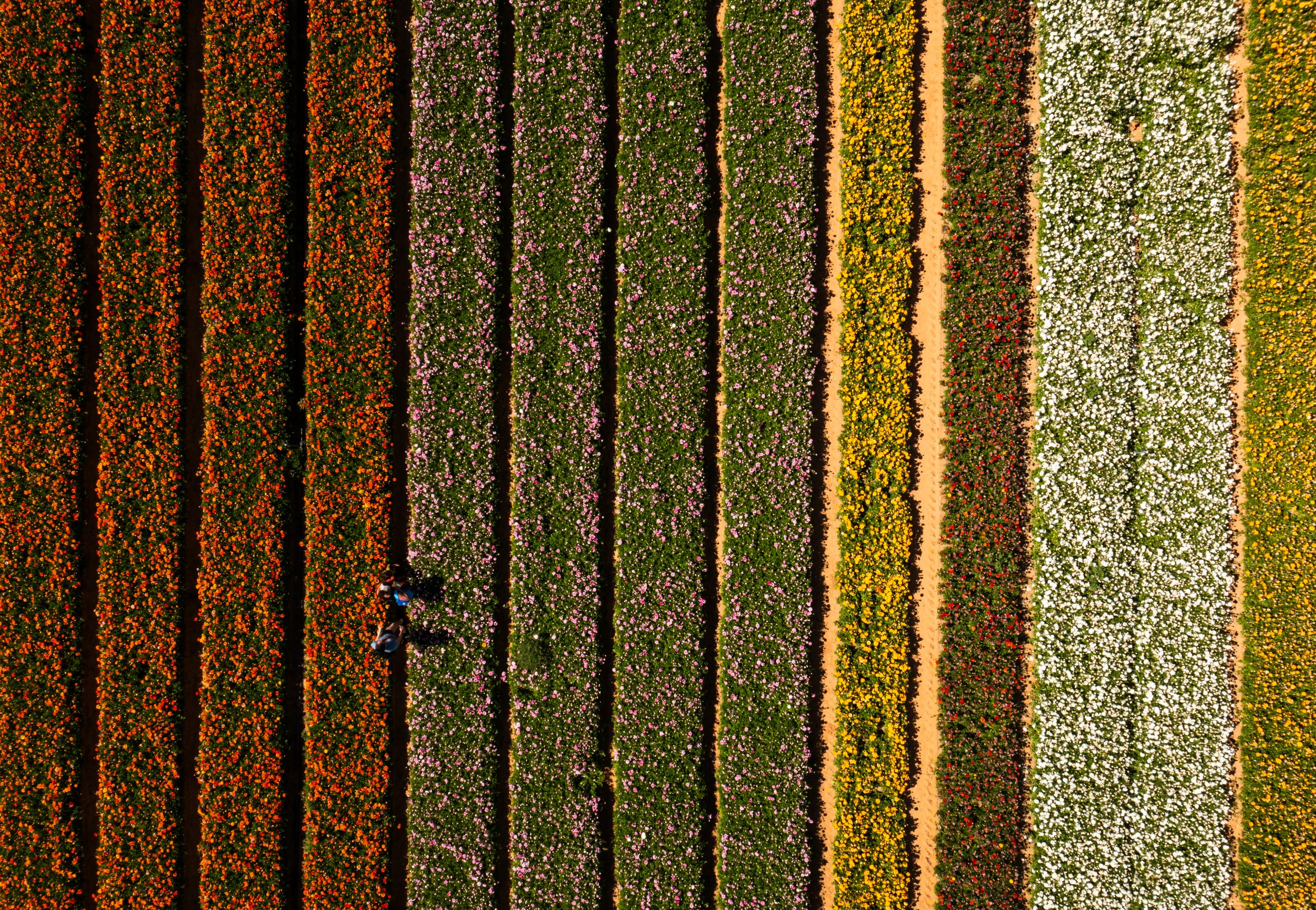 DJI_0902-HDR